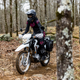 Image for article titled The $3,000 Honda XR150L Wants to Make You a Motorcyclist